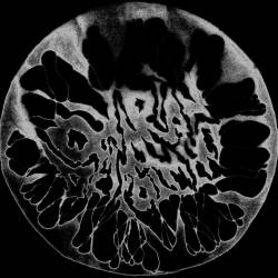 Ovarian Despoilment : Demo Ovarian Despoilment : Demo